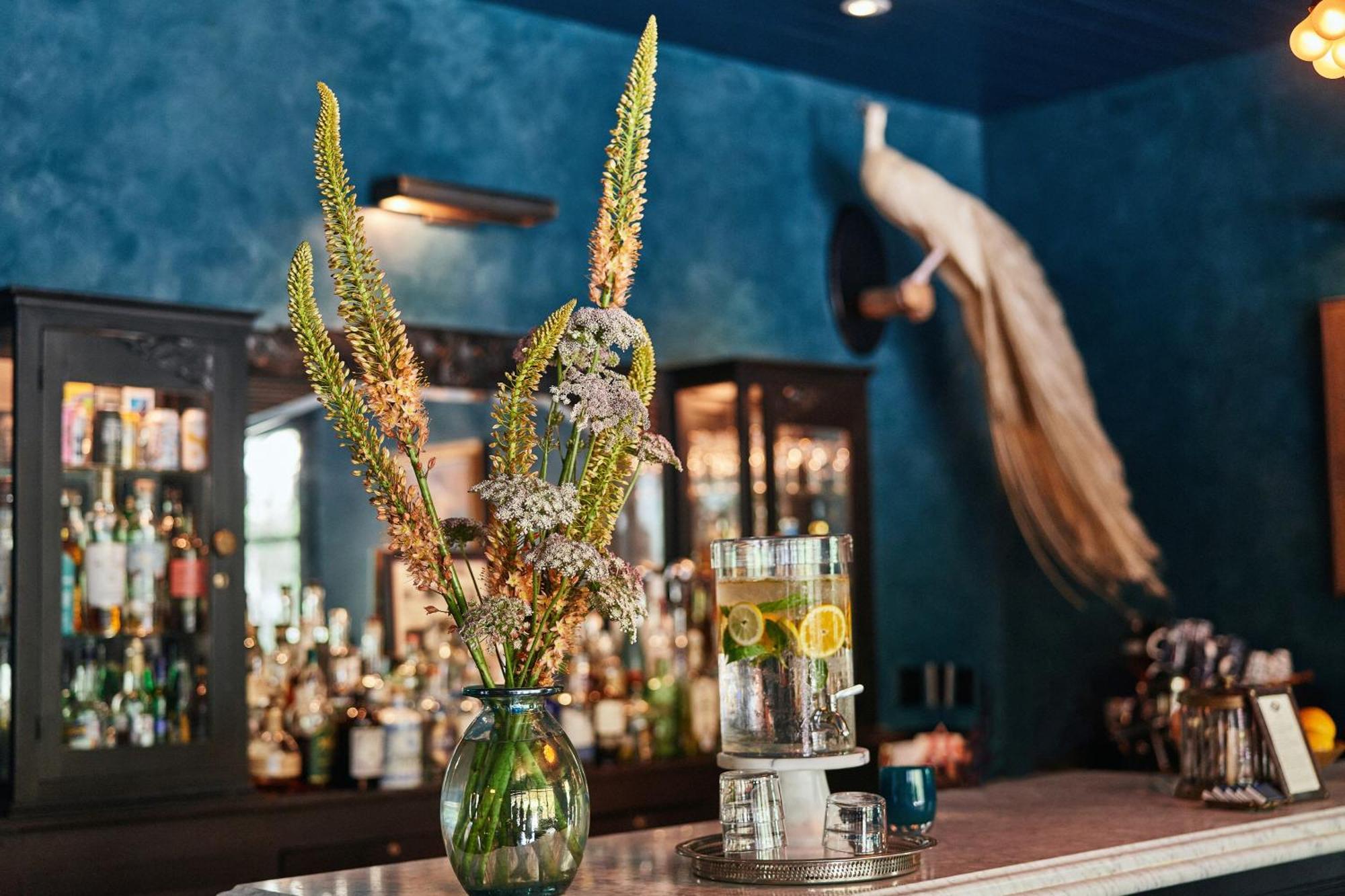 Hotel Saint Cecilia Austin Dış mekan fotoğraf