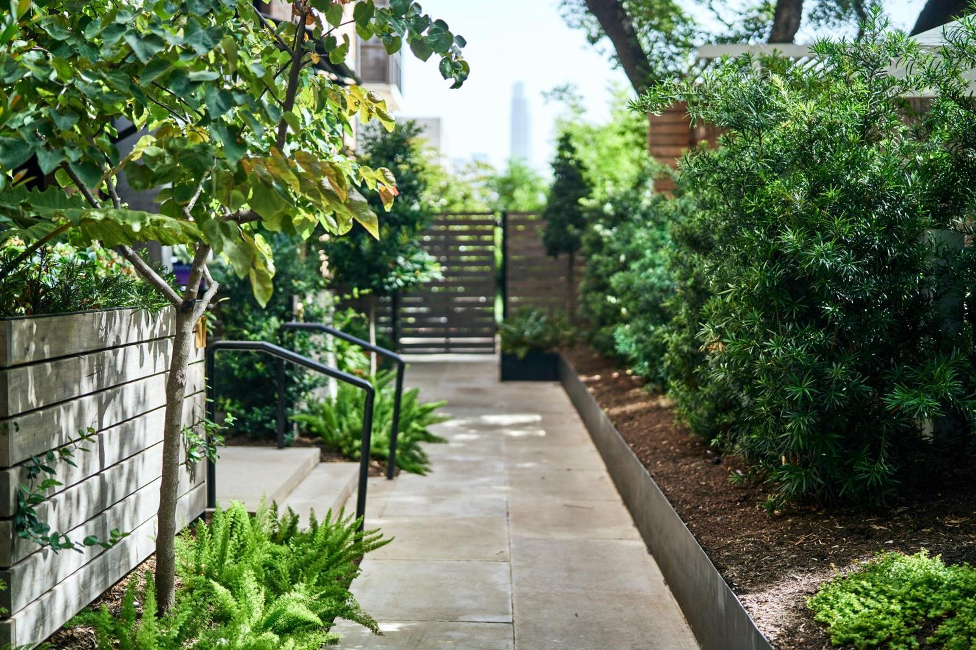 Hotel Saint Cecilia Austin Dış mekan fotoğraf